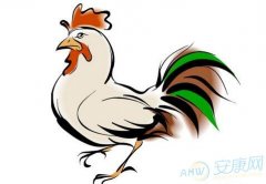 揭秘有翅难飞的生肖谜团，属鸡者的独特寓意与现实生活的启示