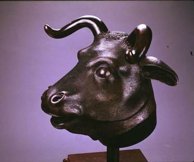 草长莺飞，生肖之谜的神秘解释