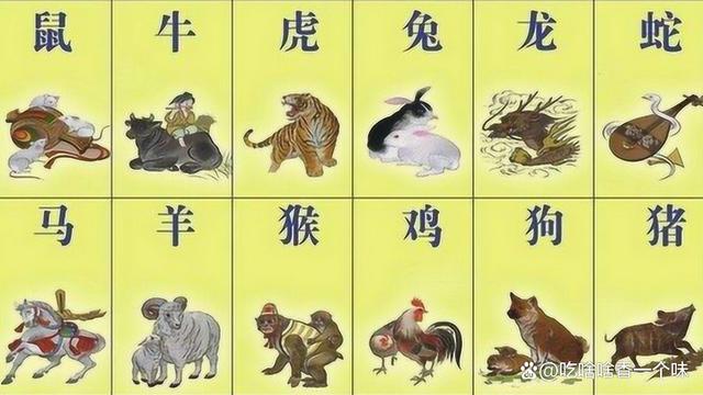 大街小巷打一准确生肖、合作解释落实