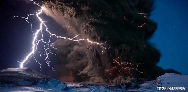 逍遥自在与生肖之谜,实证解释与文化落实的深度探索 逍遥自在与生肖之谜,实证解释与文化落实的深度探索