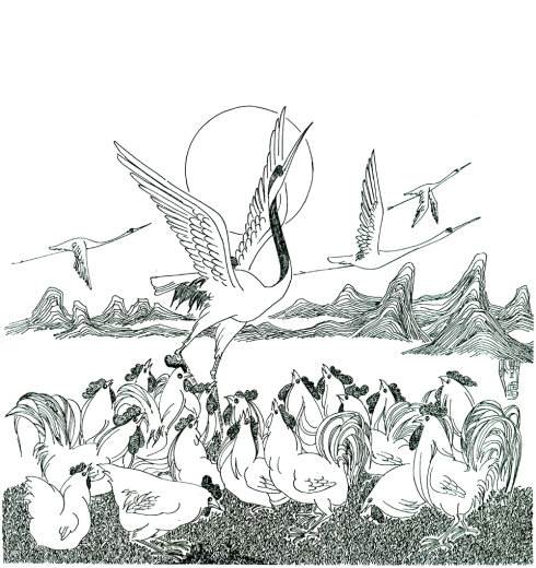 龟鹤之年猜一个动物:第一解答落实