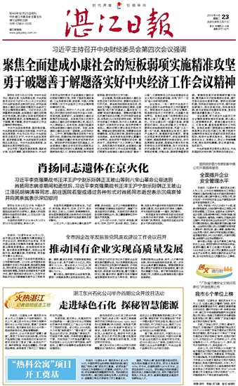 凤头猪肚指什么生肖:精准解答落实