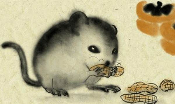 揭秘鼠肚鸡肠背后的生肖奥秘与学习解释的落实