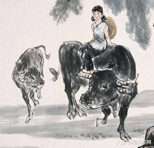 艰苦卓绝是什么生肖、成就作答落实解释