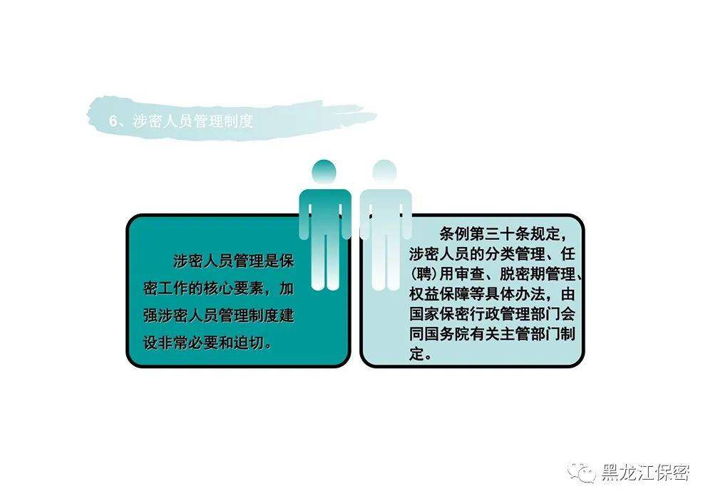 梅花美女指什么生肖、神秘解释落实