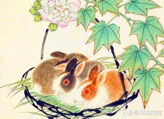 逍遥自在的生肖，一四逍遥五自在