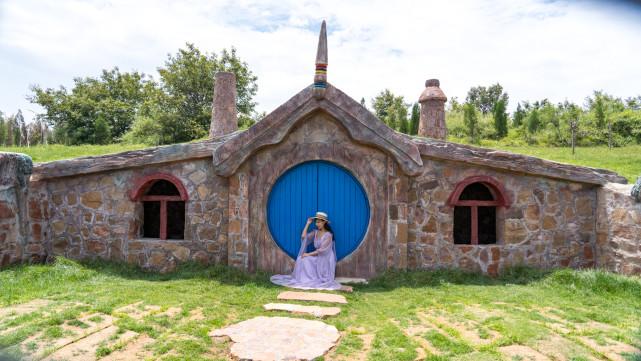 河南动物卫生监督网:权威揭晓落实