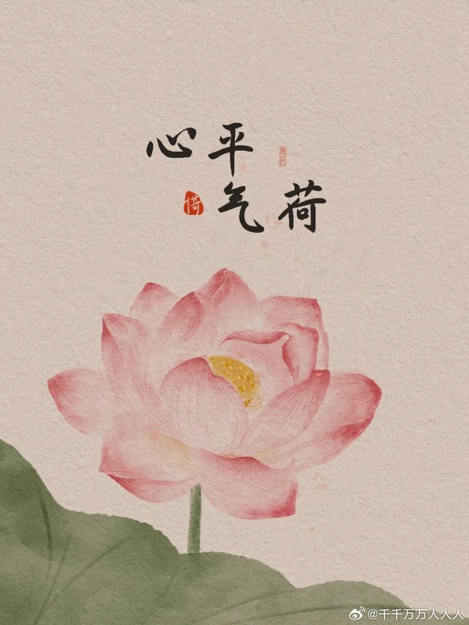 心平气和的生肖哲学，探寻属兔者的独特魅力