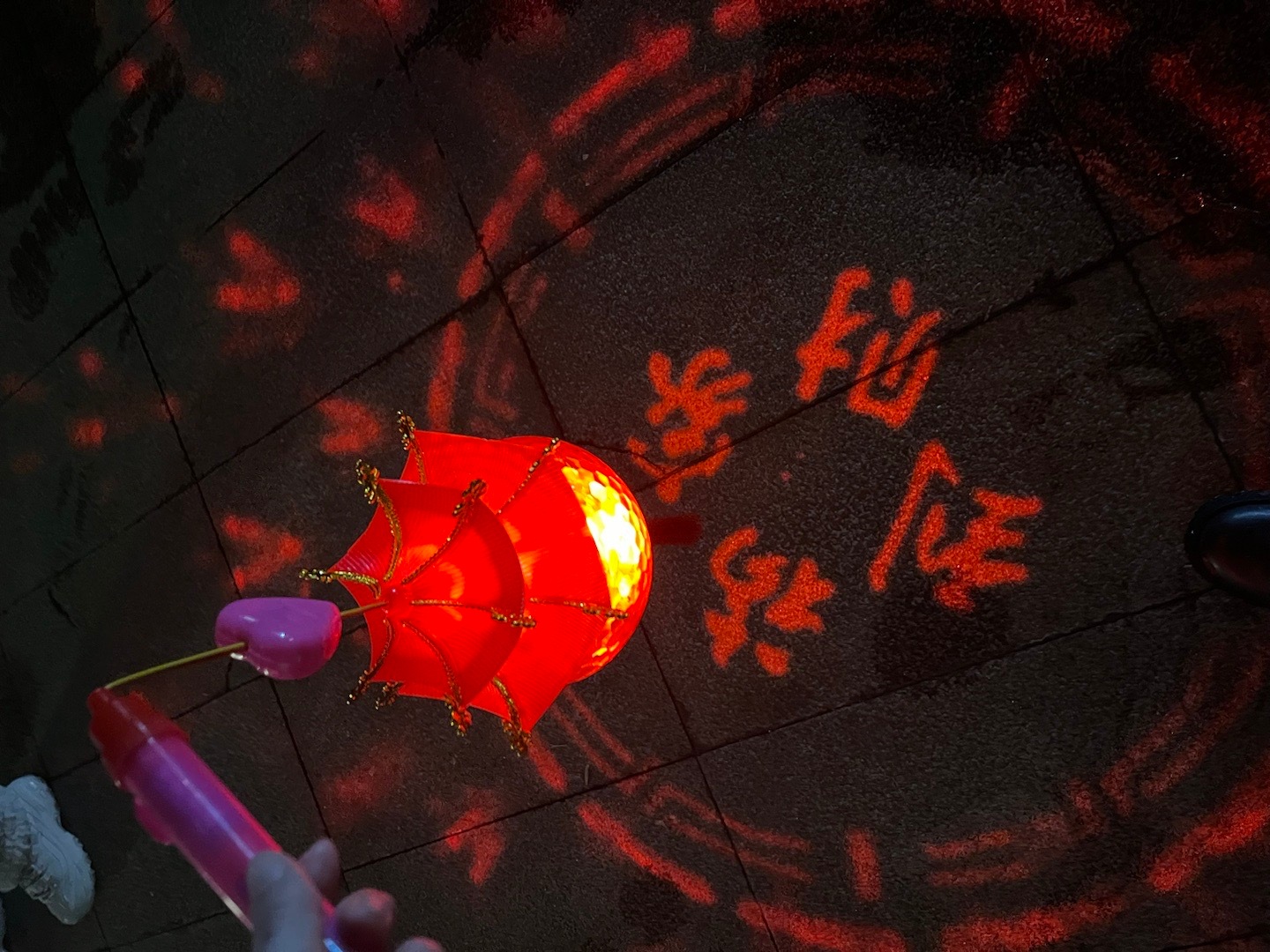 雨打灯笼猜一生肖，积极解释与落实的智慧之光