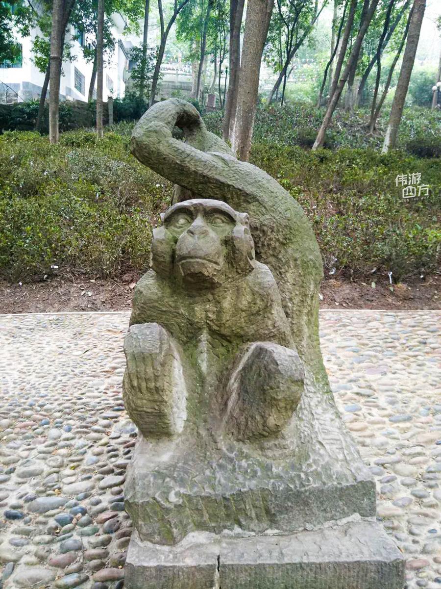 盘成一团来休息的生肖、独特解释落实