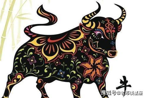 热火朝天打一个生肖、佩服解释落实