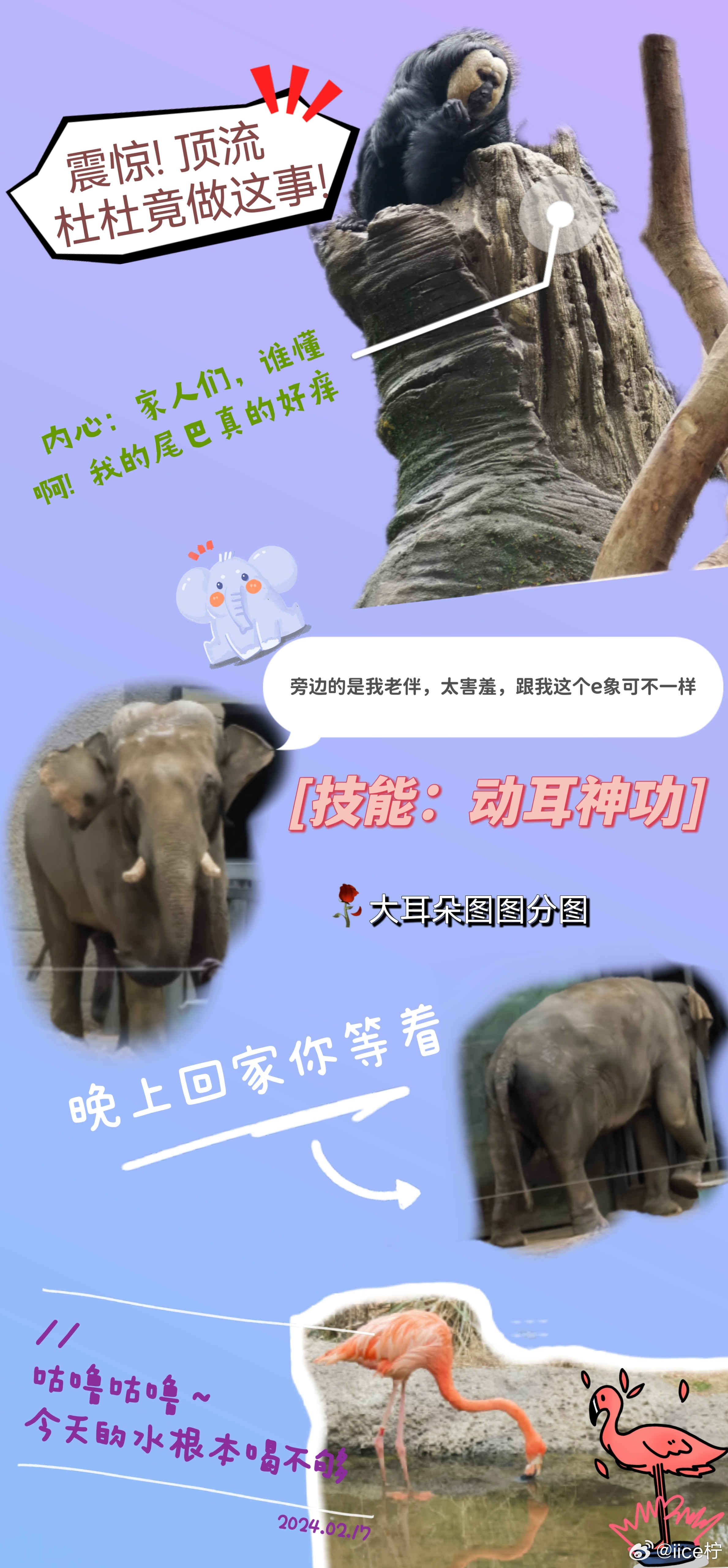 逗留不进猜一动物，探索与发现的奇妙旅程