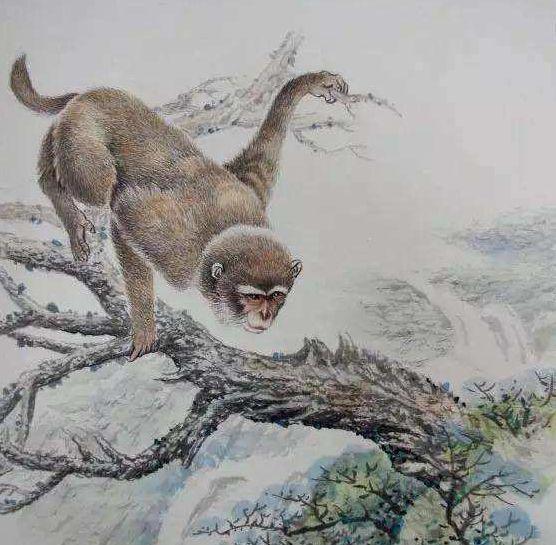 冥冥之中是什么生肖、采民作答落实解释