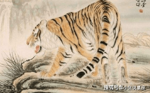 志在千里是什么生肖:经典解释作答落实