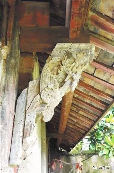 八斗之才打一正确动物、科学作答落实解释