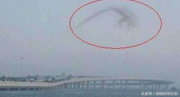 半壁江山，生肖之谜的深度解析