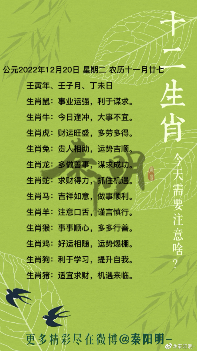 时望所归是什么生肖、专业作答落实解释