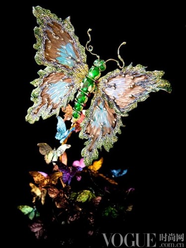 花飞蝶舞中的生肖奥秘与成就的坚实落地 花飞蝶舞中的生肖奥秘与成就的坚实落地