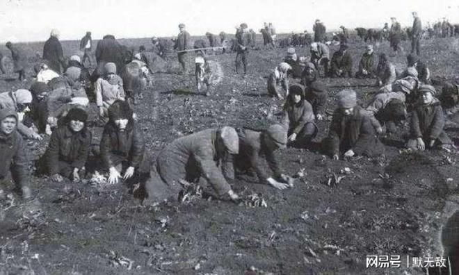 地震高岗打一生肖，揭秘中国传统文化中的生肖与自然现象的奇妙联系