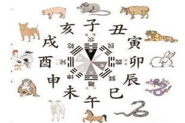 坐卧不宁，揭秘生肖中的不安分之选