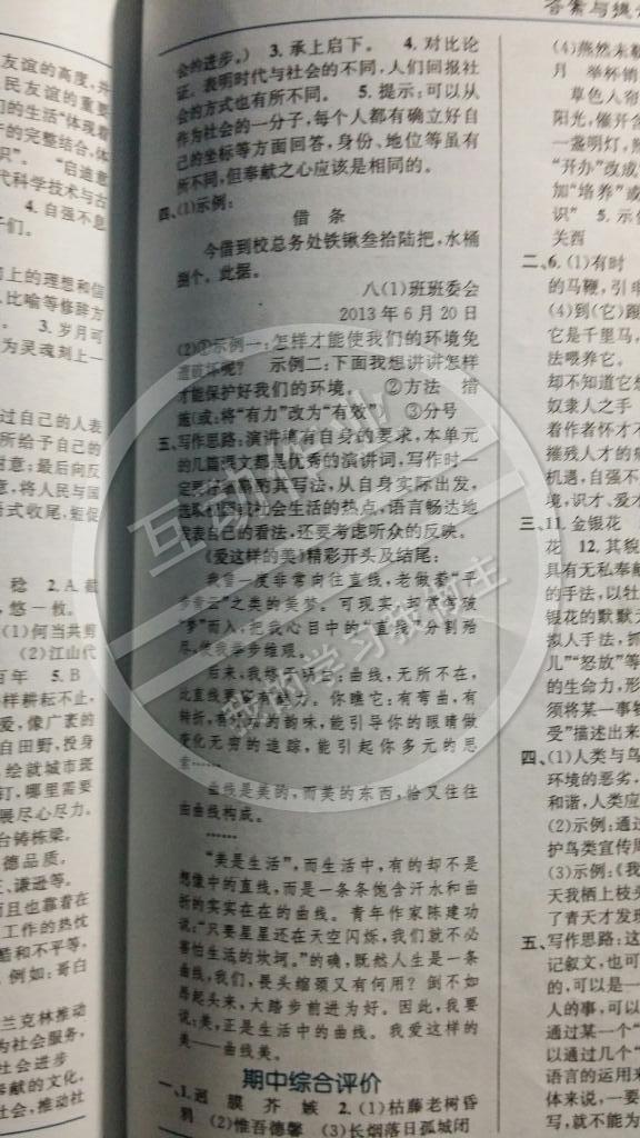 树大招风，生肖之谜的多样解读与最佳答案揭秘