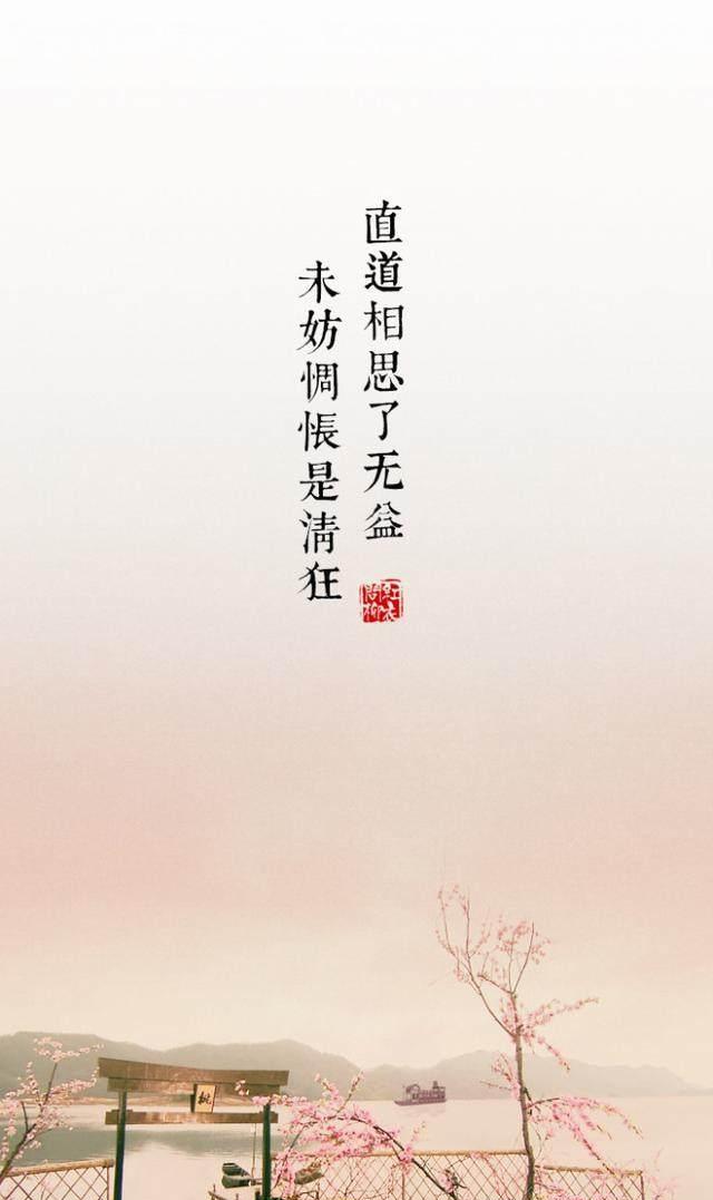 直道相思了无益，生肖之谜与真相解释的落实