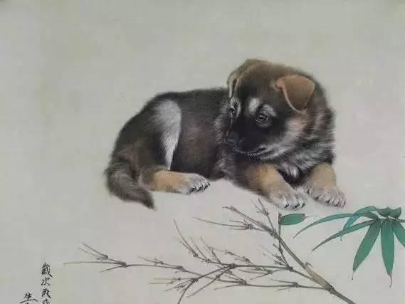 赤子之心是什么生肖:最新解释落实