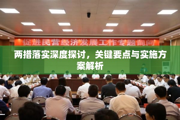 言谈举止中的生肖密码，如何精准解读与落实