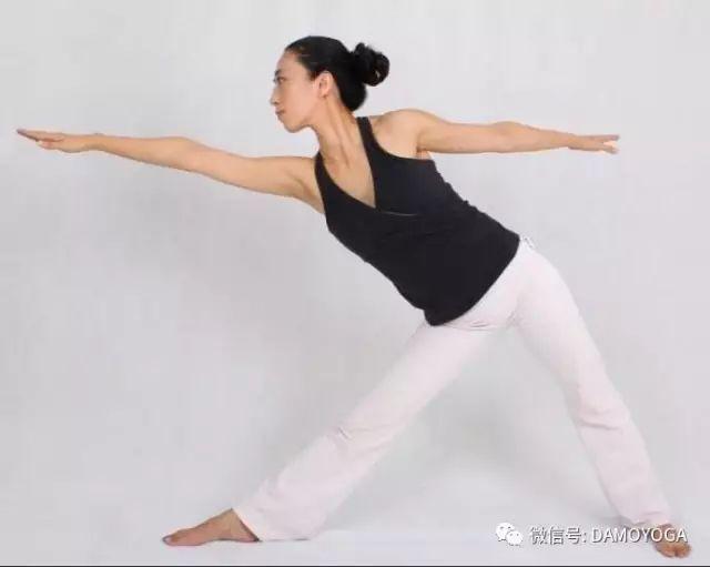 精准解析，数以万计的生肖词语及其文化内涵的落实