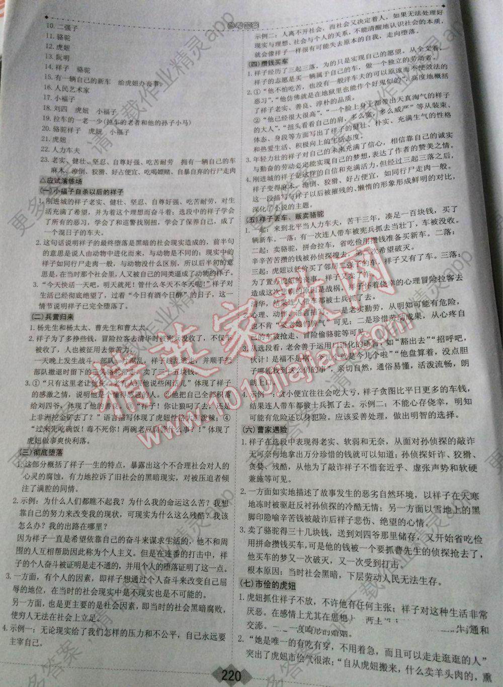 树大招风，生肖之谜的多样解读与最佳答案揭秘