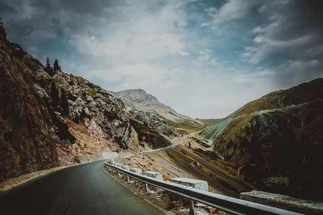 谜语解析，一条路千山万水，揭秘正确生肖的智慧之旅