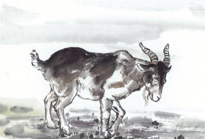 叱咤风云的生肖、最佳作答落实解释