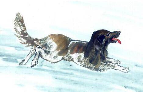 争斤论两是什么生肖:马上为你揭晓落实