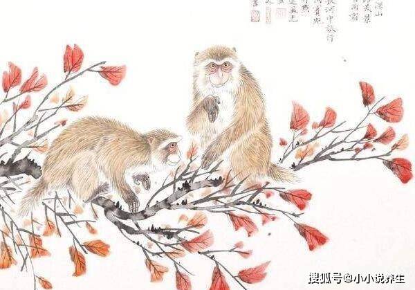 孤苦伶仃打一个准确生肖,揭秘背后的文化与智慧 孤苦伶仃打一个准确生肖,揭秘背后的文化与智慧