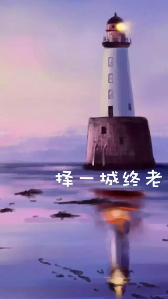 揭秘天罗地网，生肖答案的全面解析与落实