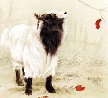 改头换面是什么生肖、奥秘解释落实