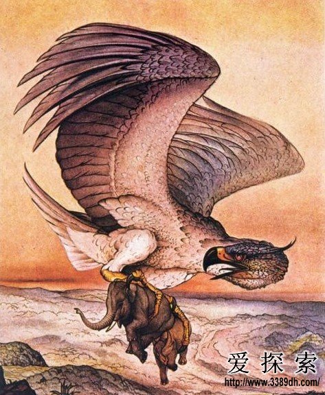 揭秘遮天盖地背后的神秘动物—以选择与解释落实为视角 揭秘遮天盖地背后的神秘动物—以选择与解释落实为视角