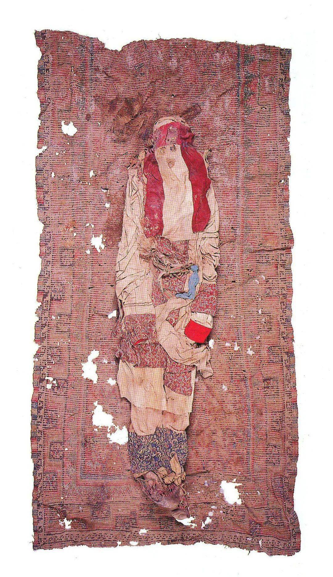 从闷嘴葫芦到揭秘动物世界，发现、解释与落实的奇妙旅程