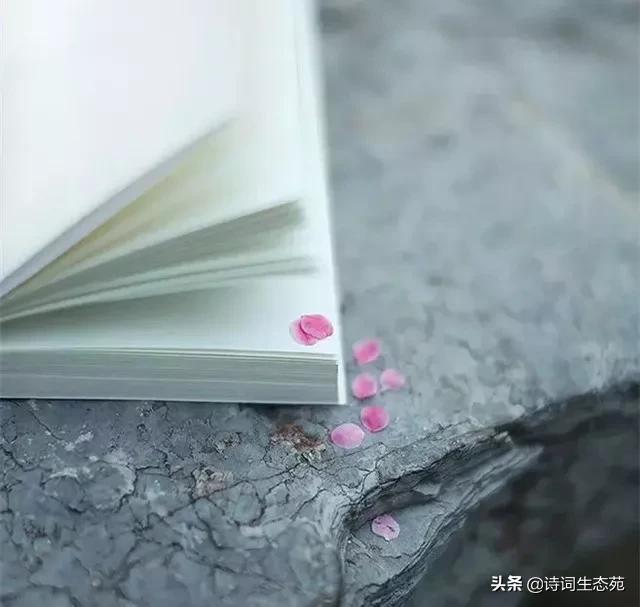 朽木粪土是什么生肖、查询解释落实