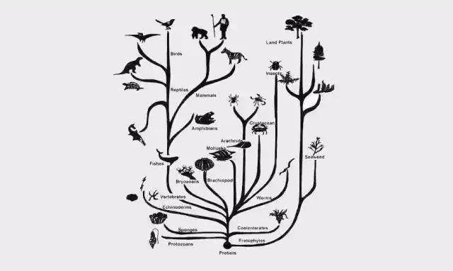 恕己及人打一准确生肖、新版本解释落实