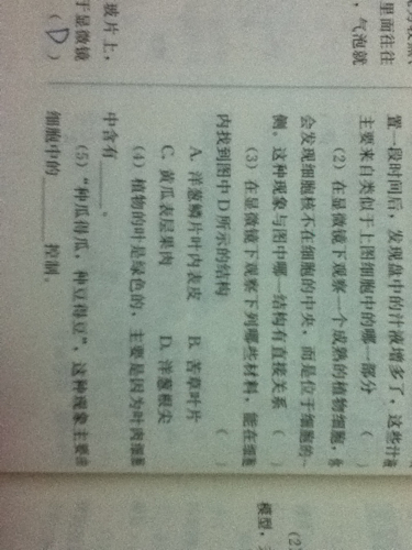 装模作样是什么生肖、最佳作答落实解释