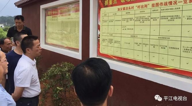 冬至打最准确一肖、支持作答落实解释