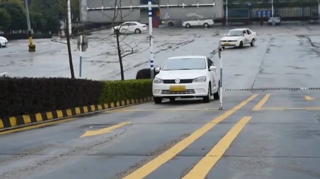 从闷嘴葫芦到揭秘动物世界，发现、解释与落实的奇妙旅程