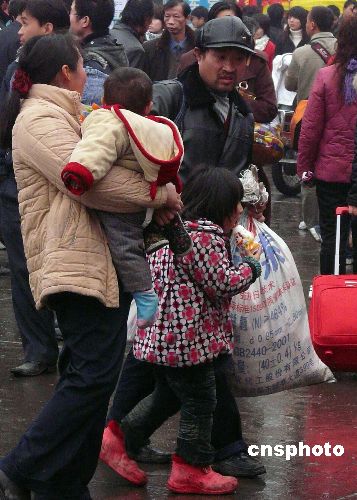 拖家带女，生肖之谜的全面解析