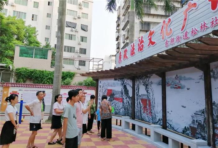 揭秘黄花女儿与生肖的奇妙联系，答案、解释与文化落实