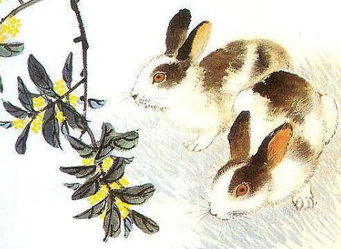 风调雨顺是指什么生肖、网络解释落实