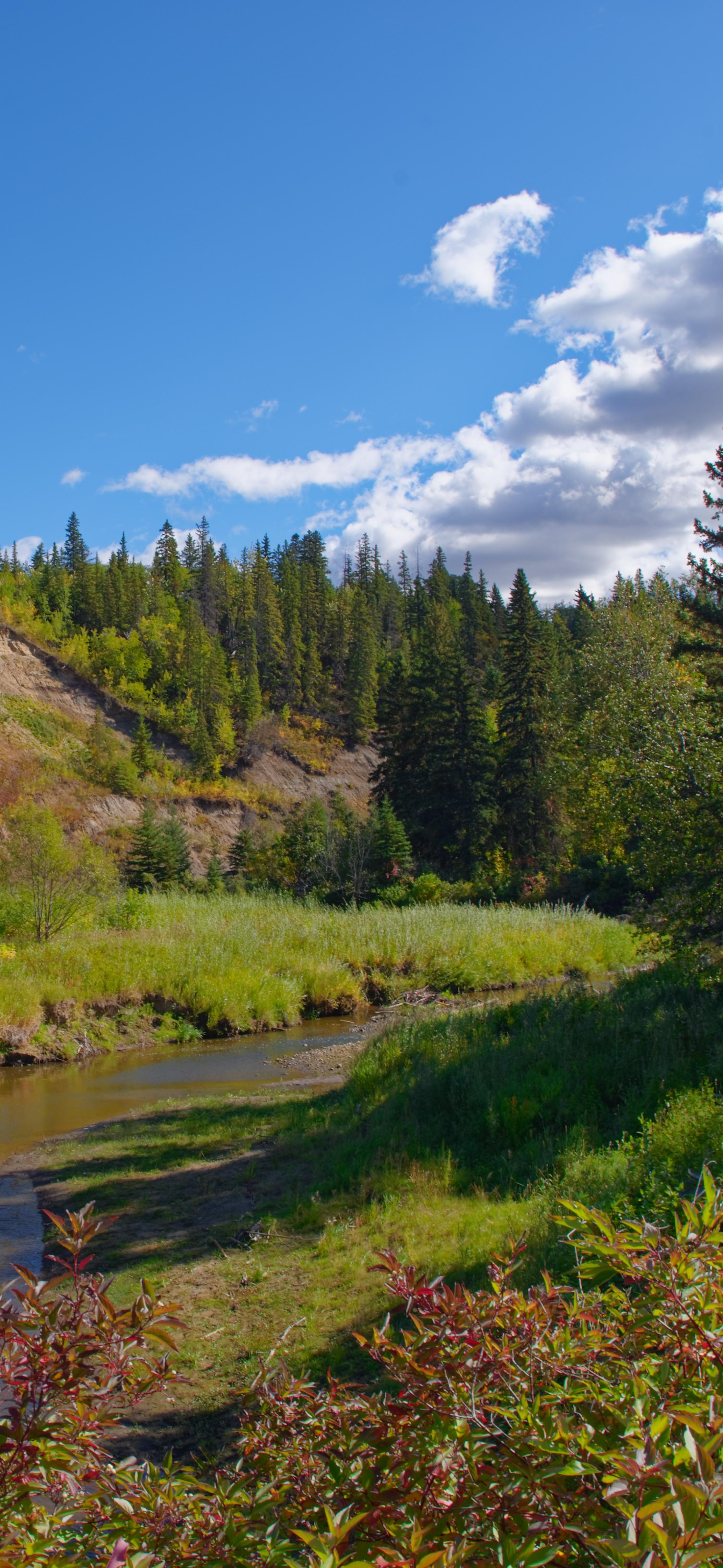 晴空万里，生肖背后的文化寓意与最新解释落实