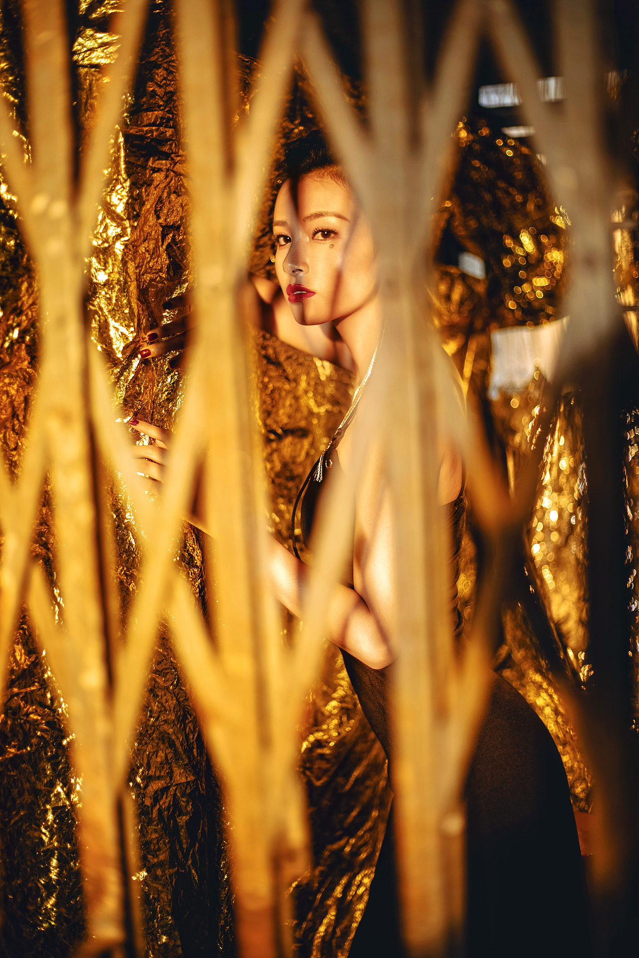 纸醉金迷与生肖的神秘联系，专业解读与文化探索