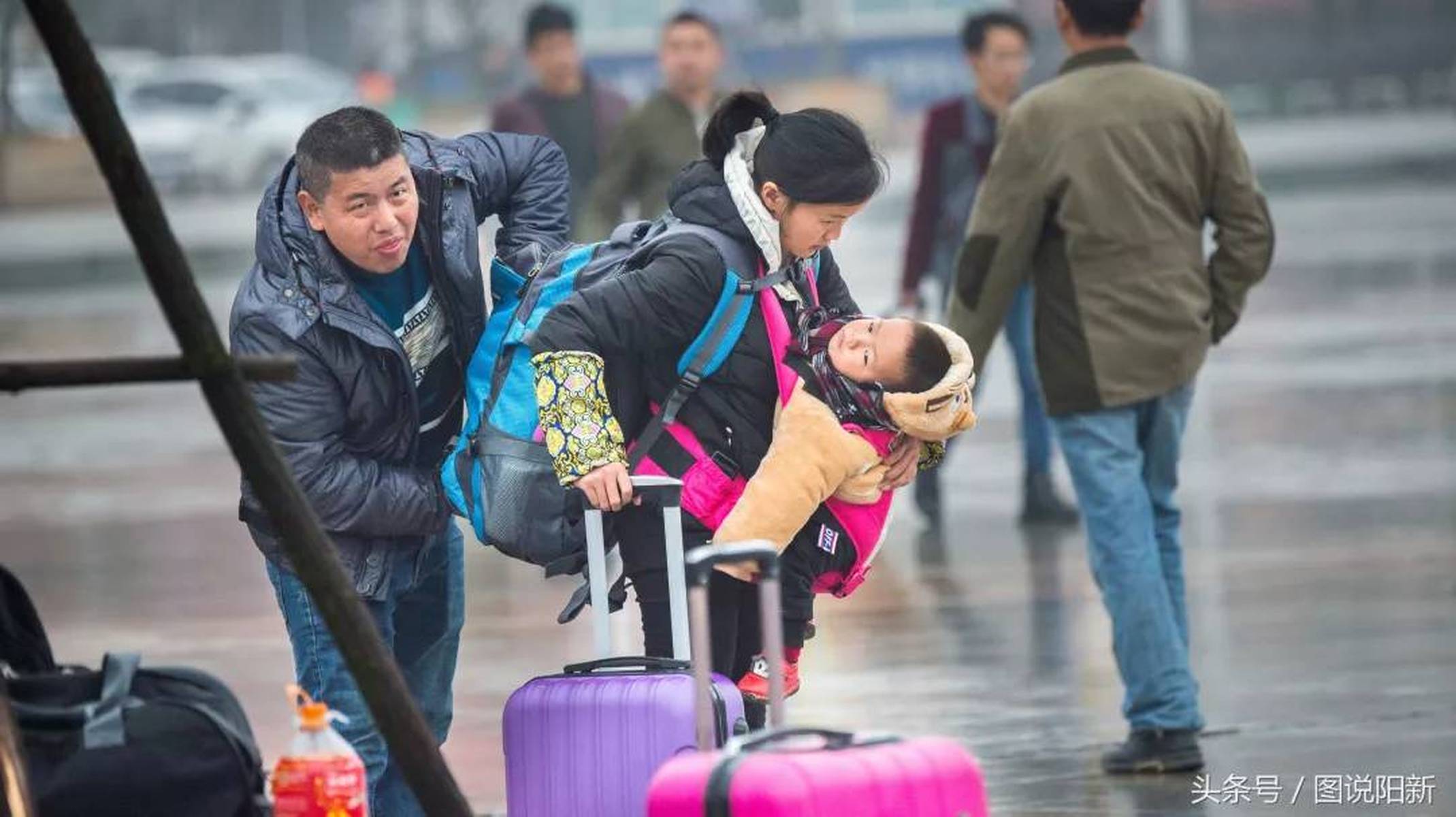 拖家带女，生肖之谜的全面解析