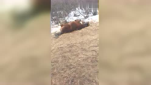 潦草塞责，传统观念下的创新作答与落实解释